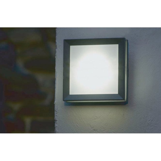 EGIL 1W Graphite 1 lt Wall/Ceiling Lantern  1 lt Wall/Ceiling Lantern